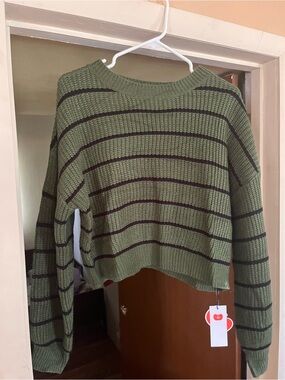Cider Olive & Black Striped Cropped Crewneck Sweater